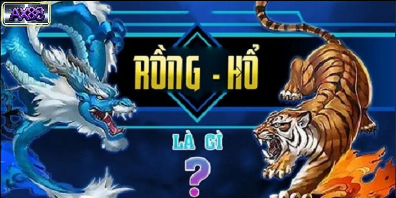 Bài Rồng Hổ Là Gì?