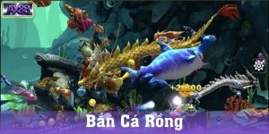 Bí quyết để chơi bắn cá rồng thắng lớn